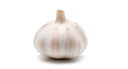 Whole Fresh Garlic Bulb on White Background