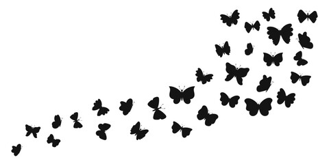 Silhouette butterflies flying on white background. Elegant black butterfly shapes. Vector illustration. © Nadiia
