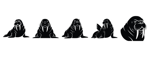 witty walrus silhouette icon set. Animals icons collection. Animal silhouette icons. Isolated on White background