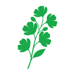 Green Leafy Herb Branch Botanical Plant Illustration Vector