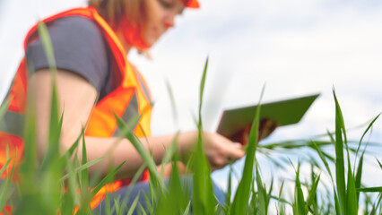 A female specialist with a tablet in a field with green grass checks the state of the environment. High quality photo