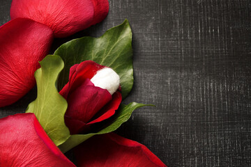 Tampon, Menstrual Cycle Female Reproductive Health