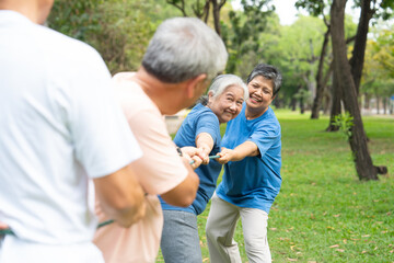 Four cheerful seniors in a friendly tug of war on a vibrant green lawn showcasing their vitality,...