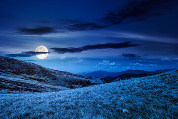 landscape with grassy meadow at night. mountain scenery in summer in full moon light. travel background. background for investment or abstract concepts. beauty in nature of green alpine environment