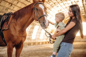 Obraz premium Mother and little son are with horse in hangar