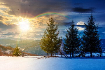 fir trees on the snowy meadow in winter. day and night time change concept. alpine countryside scenery in mountains with sun and moon at twilight. wonderful weather, harmony and progress calendar