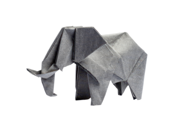 grey origami elephant isolated on white or transparent png