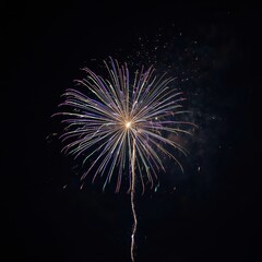 A colorful starburst firework illuminates the dark night sky with vibrant trails
