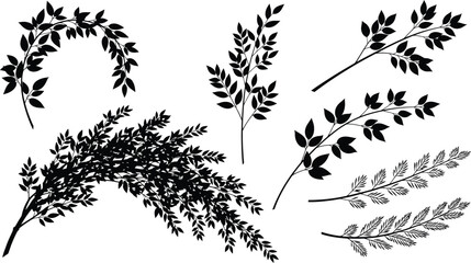 Vintage botanical illustrations of various leafy branches and sprigs in black and white