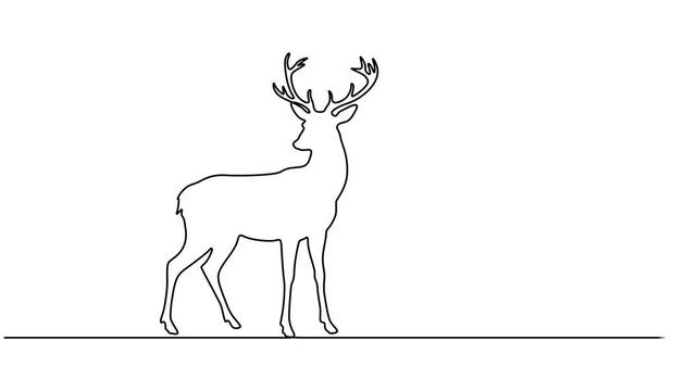 one line continuous drawing deer view, Self drawing line animation deer continuous one single line drawn concept video, designed in a nature concept for World Wildlife Day theme, Reindeer, minimalist.