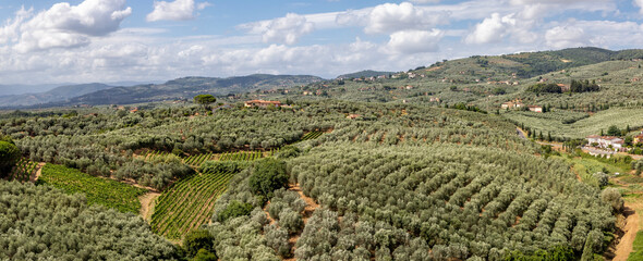 countryside vineyards and olive groves to the north of the town of vinci in tuscany italy sunny day no people elevated panoramic view