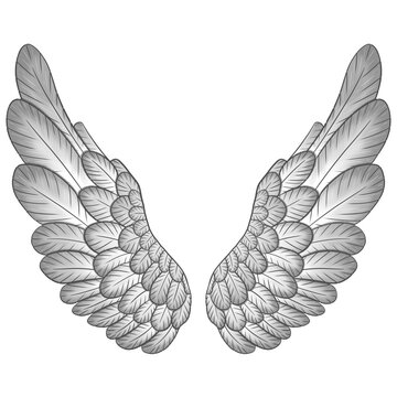 Isolated gradient angel wings