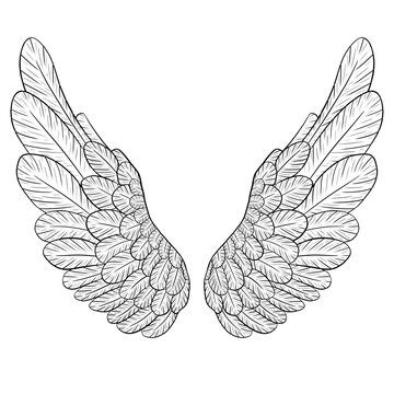 Isolated angel wings