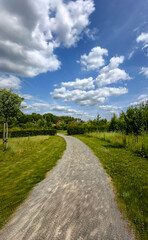 A beautiful scenic pathway that is surrounded by lush, vibrant greenery and fluffy white clouds in a clear blue sky