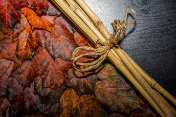 Autumn red and green maple leaves, Dry bamboo branch