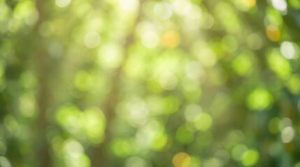 Obraz premium Blurred nature background with green leaves and bokeh sunlight suitable for environmental banners, eco friendly branding, and fresh spring designs. Soft focus forest canopy.