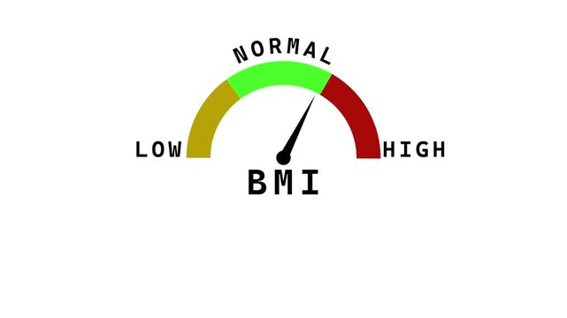 BMI Gauge Indicating Low to High Levels on White Background body mass index meter