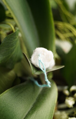 Tampon, Menstrual Cycle Female Reproductive Health