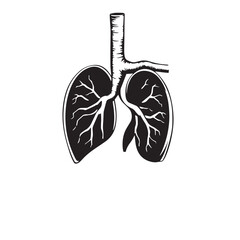 Anatomical illustration of human lungs and trachea vector.