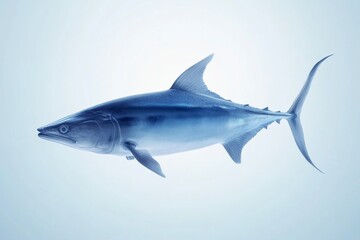 Detailed visualization of a swordfish in oceanic blue tones for marine life appreciation