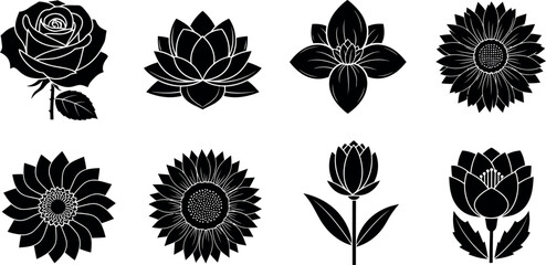 Obraz premium Collection of detailed black and white floral illustrations in a vintage engraved style