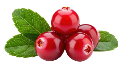 Isolated heap of red cranberries, edible fruits with green leaves, pile of fresh food items