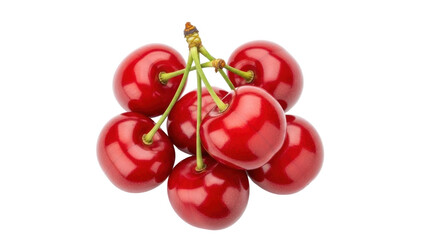 Isolated bunch of fresh red cherries in cluster, healthy fruit for dessert snacks