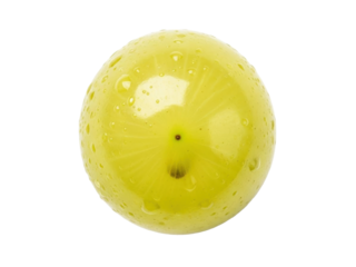 Isolated ripe yellow gooseberry with water droplets against plain backdrop ready to eat