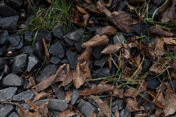 Dry brown leaves lying on dark stones and gravel. Natural textured background with autumn foliage and rough rock surface. Seasonal nature concept.
