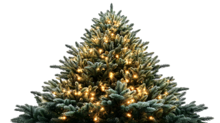 Pre-lit artificial Christmas tree with lush green branches, warm LED lights, and natural pine-like texture for cozy festive ambiance, isolated on white background