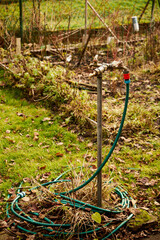 wąż do podlewania  © Marcin Łazarczyk