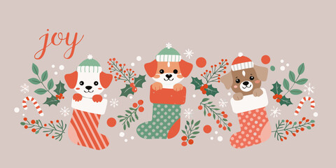 Festive puppies with winter accessories and stockings bring holiday joy
