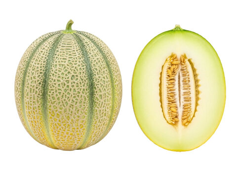 Isolated view of a fresh cantaloupe melon and a sliced half, prepared for eating