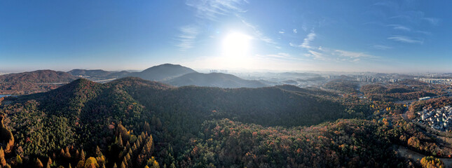 하늘에서 본 아름다운 가을 숲 풍경