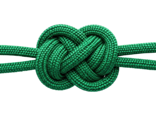 Isolated Celtic knot in green rope against a plain backdrop a symbol of intertwining paths