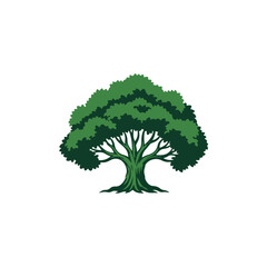 Obraz premium Isolated green tree with full canopy and visible branches, representing nature, growth, and life, perfect for design isolated on transparent background