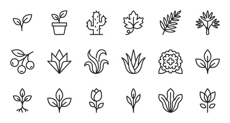 Fototapeta premium Set of plant and flower line icons featuring various botanical elements like leaves, sprouts, cactus, and herbs in a minimalist, clean, and modern outline vector illustration