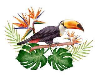 Watercolor tropical toucan sitting on branch with monstera and palm leaves, strelitzia flowers on white background. Exotic bird illustration for summer cards, posters, textile and decorative design. © Alona