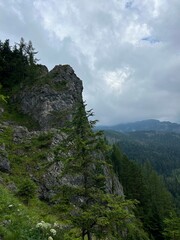 Rocky cliff rising above a dense forest with misty mountains and cloudy sky in the background.
