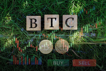 Wooden blocks spelling “BTC” placed on green grass with bitcoin coins and digital trading charts overlay, representing cryptocurrency analysis, market trends, and modern financial technology.