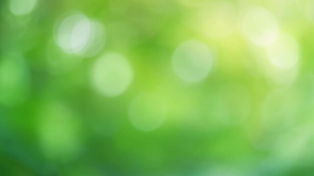 Green bokeh blurred light abstract nature soft luminous spring glow with shallow depth field evokes calm and fresh mood for design and background use