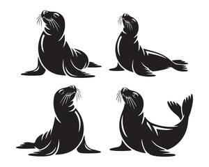 Seal silhouette, Seal sitting silhouette, flipper Seal lying illustration, Seal balancing ball vector, Seal black vector design Set collection, seal silhouette, seal sitting silhouette, seal lying  © Rasel