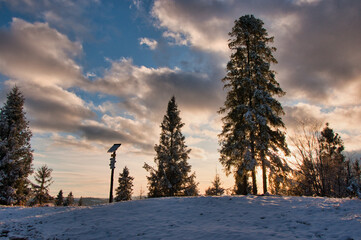 Śnieżny Szczyt Stary Groń - Horzelica o zachodzie słońca, z wysokimi świerkami i dramatycznymi chmurami w zimny zimowy wieczór. © Pol Badger
