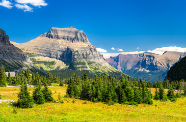 Going-to-the-Sun Mountain rises above green alpine meadow in Glacier National Park, Montana. Scenic landscape features subalpine fir trees and sedimentary rock layers in UNESCO World Heritage site