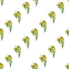seamless pattern of monstera and philodendron watercolor leaves hand drawn on white background © elenaseiryk