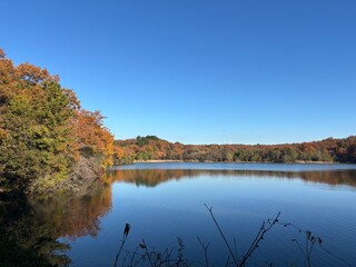 Fototapeta premium Autumn foliage reflecting on calm lake under blue sky Japan