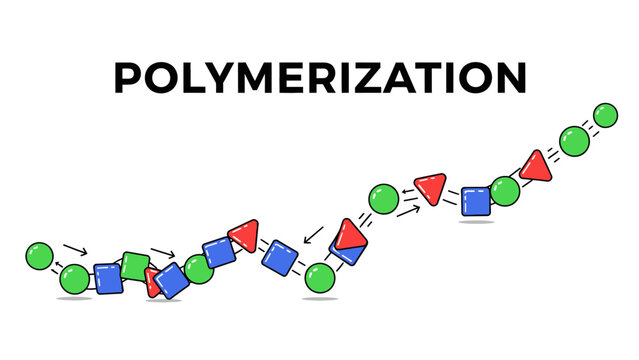 Illustration of the Polymerization Process: Different Monomers Form a Chemical Polymer Chain