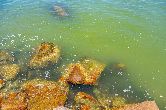 pedras no mar