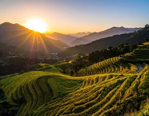 Rice terraces glow, sun rising over distant mountains