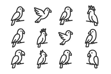 Simple outline icons of tropical birds including parrots, cockatoos, and small flying birds